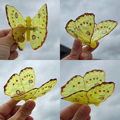 Clouded Sulphur hair clips