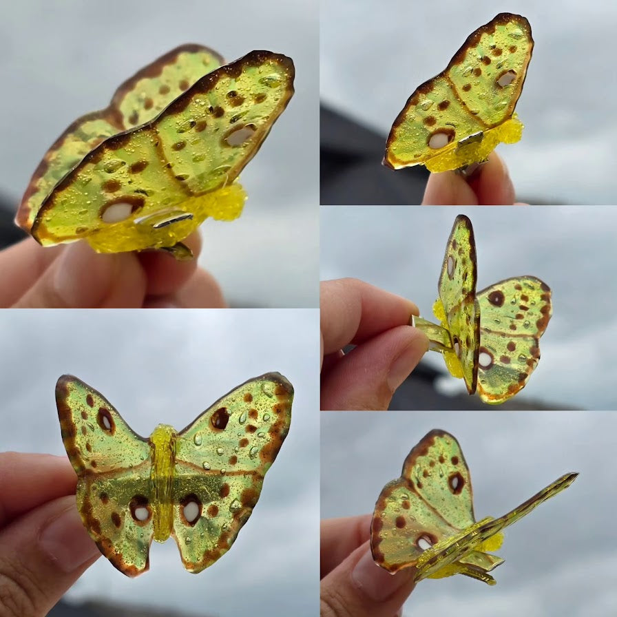 Clouded Sulphur hair clips