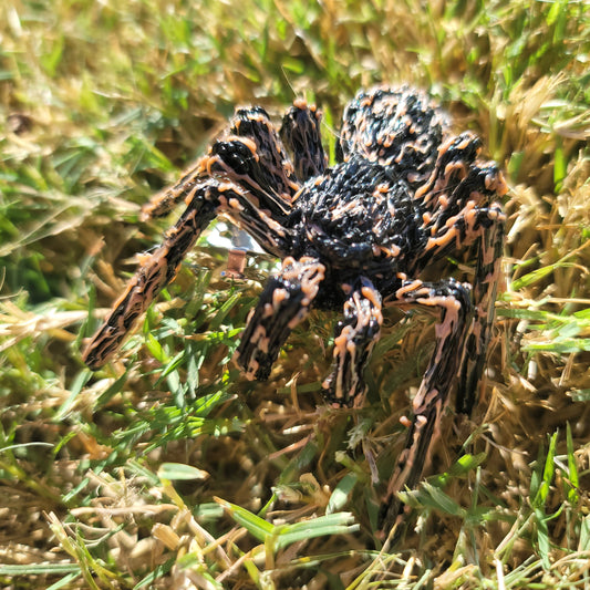 Tarantula Hair Clip