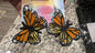 Butterfly Earrings